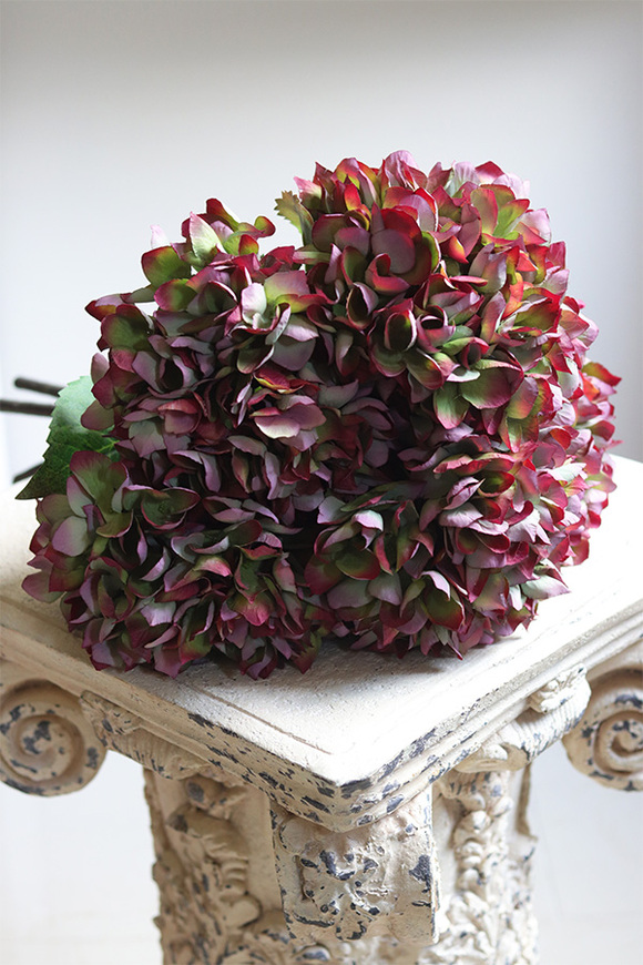 Hydrangea Mood, bukiet zielono-bordowych hortensji