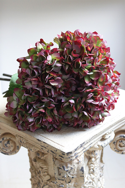 Hydrangea Mood, bukiet zielono-bordowych hortensji