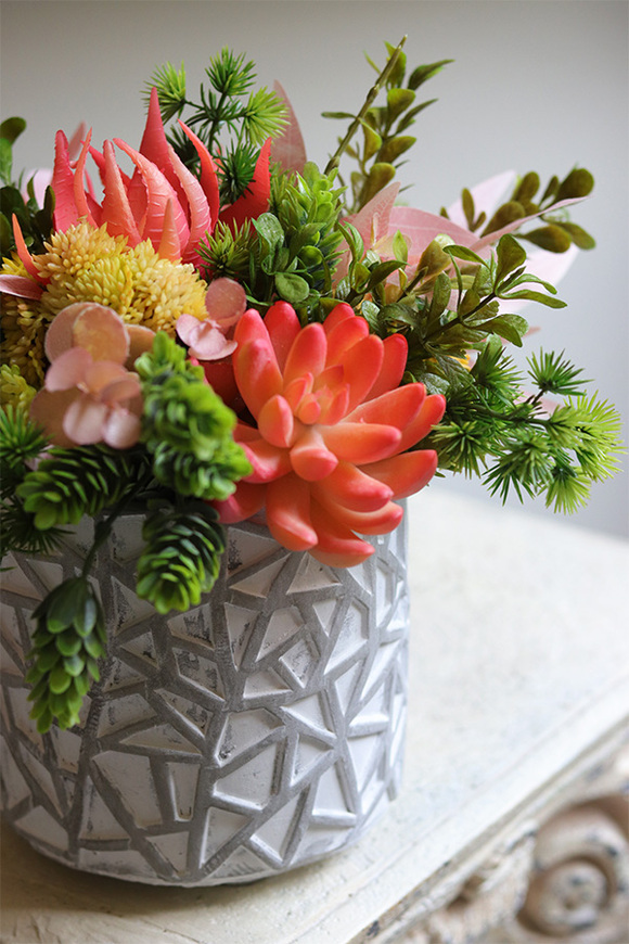 Kledia, sukulenty w nowoczesnej donicy