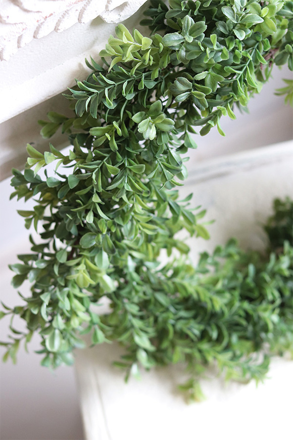 zielony wianek bukszpanowy Saute Boxwood