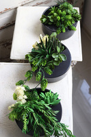 Designerio B, kompozycja sukulenty w czarnej donicy wiszącej, wym.13x21cm