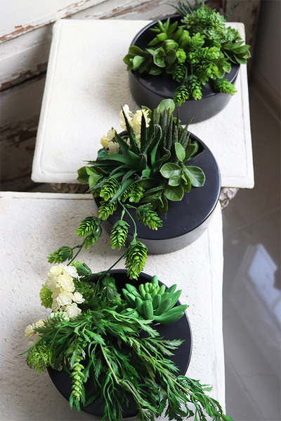 Designerio B, kompozycja sukulenty w czarnej donicy wiszącej, wym.13x21cm