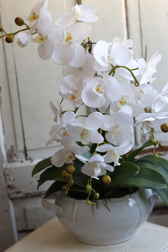 biały storczyk w wazie porcelanowej, Vaseno, wys.64cm