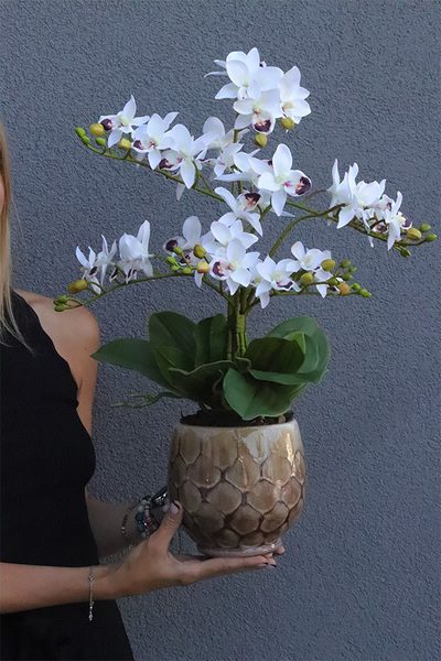 Helakia, sztuczny storczyk w stylowej donicy, wys.56cm