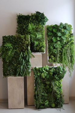 Green Hotel Black, czarna jednostronna rama sukulenty, wym.95x65cm