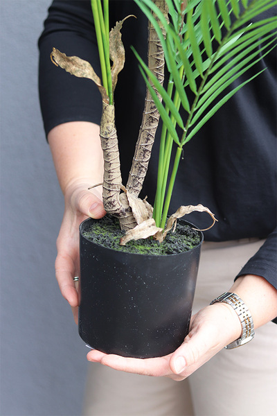 Palma Carmen 2, sztuczna roślina w doniczce