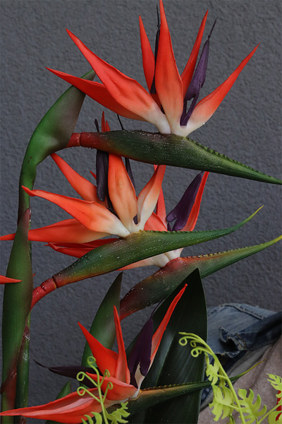 Strelicje Chobe, egzotyczny bukiet do wazonu