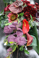 Lerrta, bukiet nagrobny z kaliami i czerwonym bluszczem