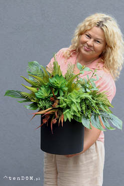 Zielona Moderna Moment, sukulenty w czarnej donicy, wym.48x57cm