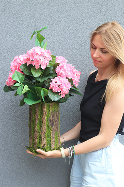 Pink Hortensja w Mchu, kompozycja kwiatowa w pniu, wym.49cm