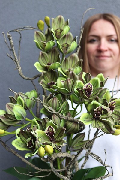 Green Housemania, storczyk cymbydium w doniczce