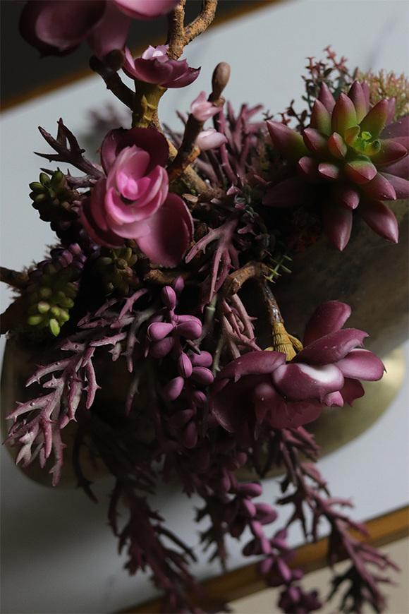 Olivina Kristi, kompozycja sukulenty w złotym pucharze