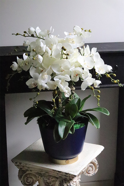 Blue Moon, biały sztuczny storczyk w niebieskiej donicy