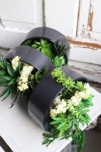 Designerio B, kompozycja sukulenty w czarnej donicy wiszącej, wym.13x21cm