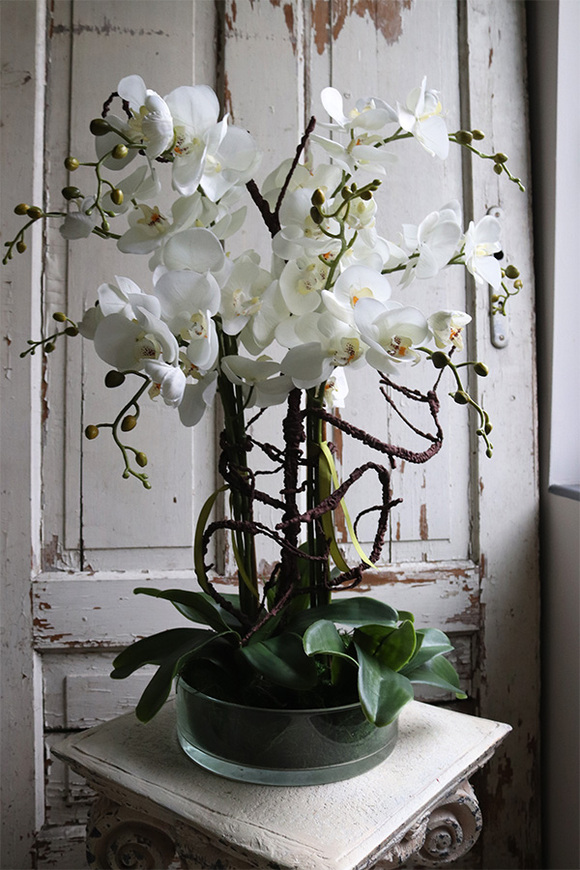 Glassier Hefru, biały storczyk w szklanej misie, wys.70cm 