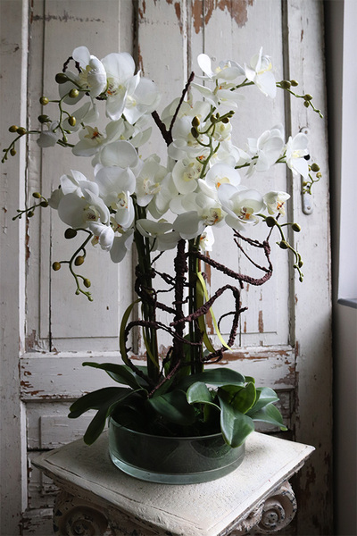 Glassier Hefru, biały storczyk w szklanej misie, wys.70cm 