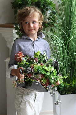 Suculentas Garden Volcan, sukulenty w nowoczesnej donicy, wym.30x43cm