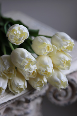 White Spring, bukiet tulipanów satynowych, 12szt, dł.50cm