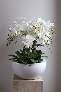 Fiberglass White Bowl, sztuczny storczyk w białej donicy, wys.75cm