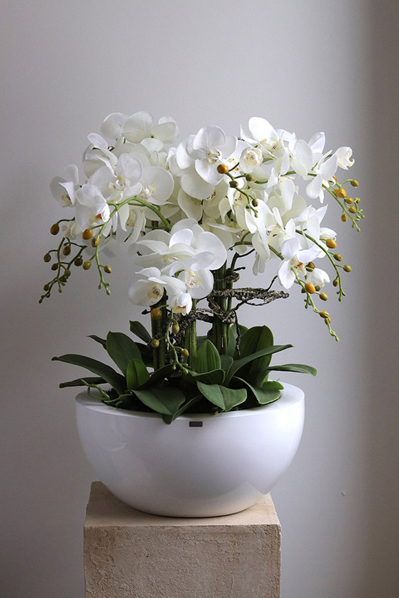 Fiberglass White Bowl, sztuczny storczyk w białej donicy
