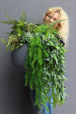 Walter Maestria, kompozycja z sukulentami w donicy fiberglass, wys.57cm