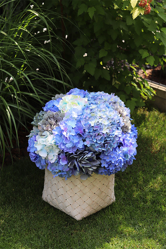 Fortuna Blue, hortensje w plecionym koszu, wys.54cm 