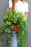 Justa Green, zielona kompozycja wisząca