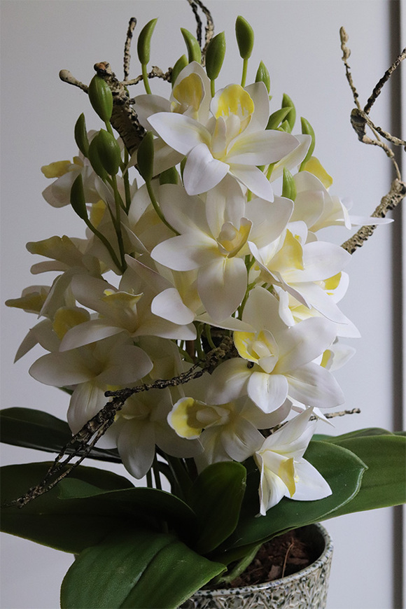 Klementina, sztuczny storczyk w ozdobnej donicy