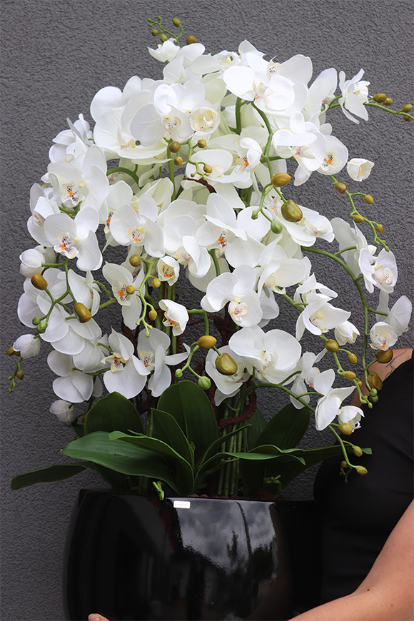 Fiberglass Grande Baloo Black, sztuczny storczyk w białej donicy