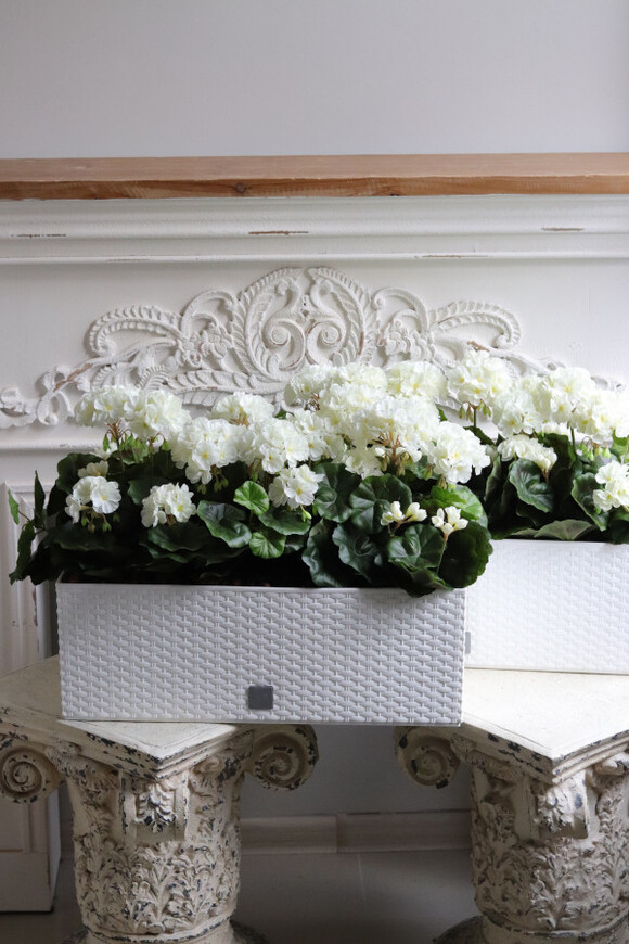 Summer Balcony, białe pelargonie w skrzynce balkonowej