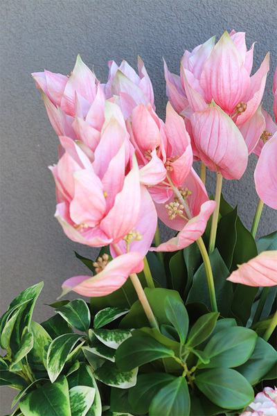 Medinilla Fiberglass, podłogowa dekoracja kwiatowa