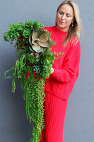 Laos Greeno 2, bogata kompozycja Sukulenty w lustrzanej donicy