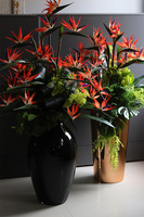  ogromny bukiet Strelicja Królewska