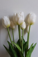 April Nova, bukiet tulipan silikonowy Biały