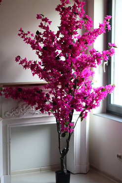 Bugenwilla, sztuczna roślina w doniczce, różowy, wys.200cm