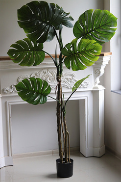 Monstera Young, sztuczne drzewko w doniczce, wys.166cm 
