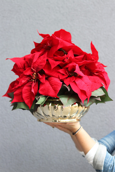 Gwiazda Betlejemska Gold Deco, wysokiej jakości sztuczna roślina