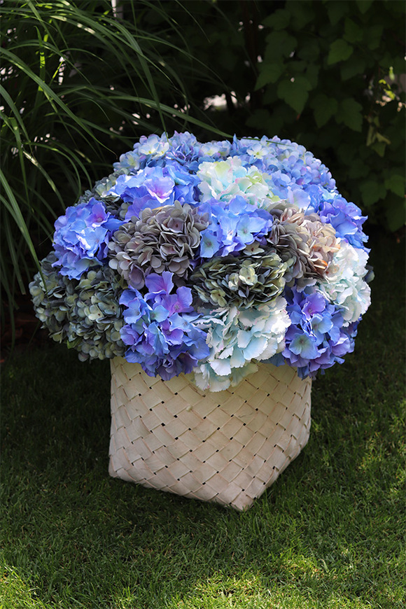 Fortuna Blue, hortensje w plecionym koszu, wys.54cm 
