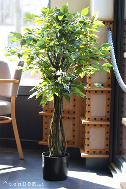 Fikus Benjamin E, sztuczna roślina w doniczce, wys.130cm