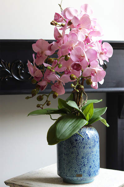 Pink Ocearo, różowy storczyk w niebieskim wazonie