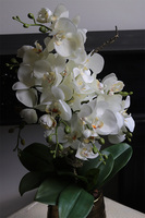 Nediata Gold big, sztuczny storczyk w złotej donicy