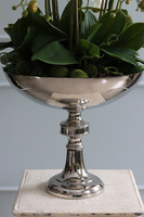 elegancki storczyk w pucharze, Silverito, wys.86cm