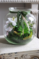 Forresti Glasso, kompozycja w słoju Sukulenty, wym.27cm 