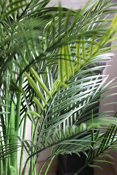 Palma Gold Hilton, sztuczna roślina w czarnej donicy