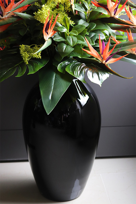  ogromny bukiet Strelicja Królewska