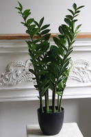 Zamiokulkas, wysokiej jakości sztuczna roślina