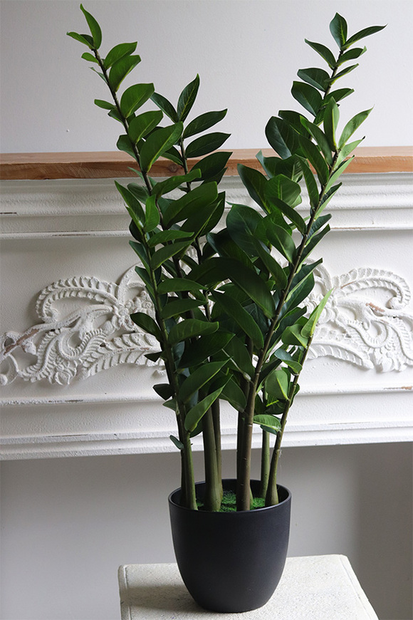 Zamiokulkas, wysokiej jakości sztuczna roślina