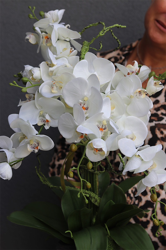 Kleopatra Concrete, sztuczny storczyk w betonowej donicy