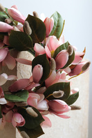 Magnolia Pudrova, wianek z kwiatów magnolii