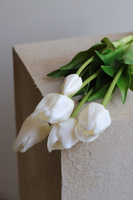 April Nova, bukiet tulipan silikonowy Biały